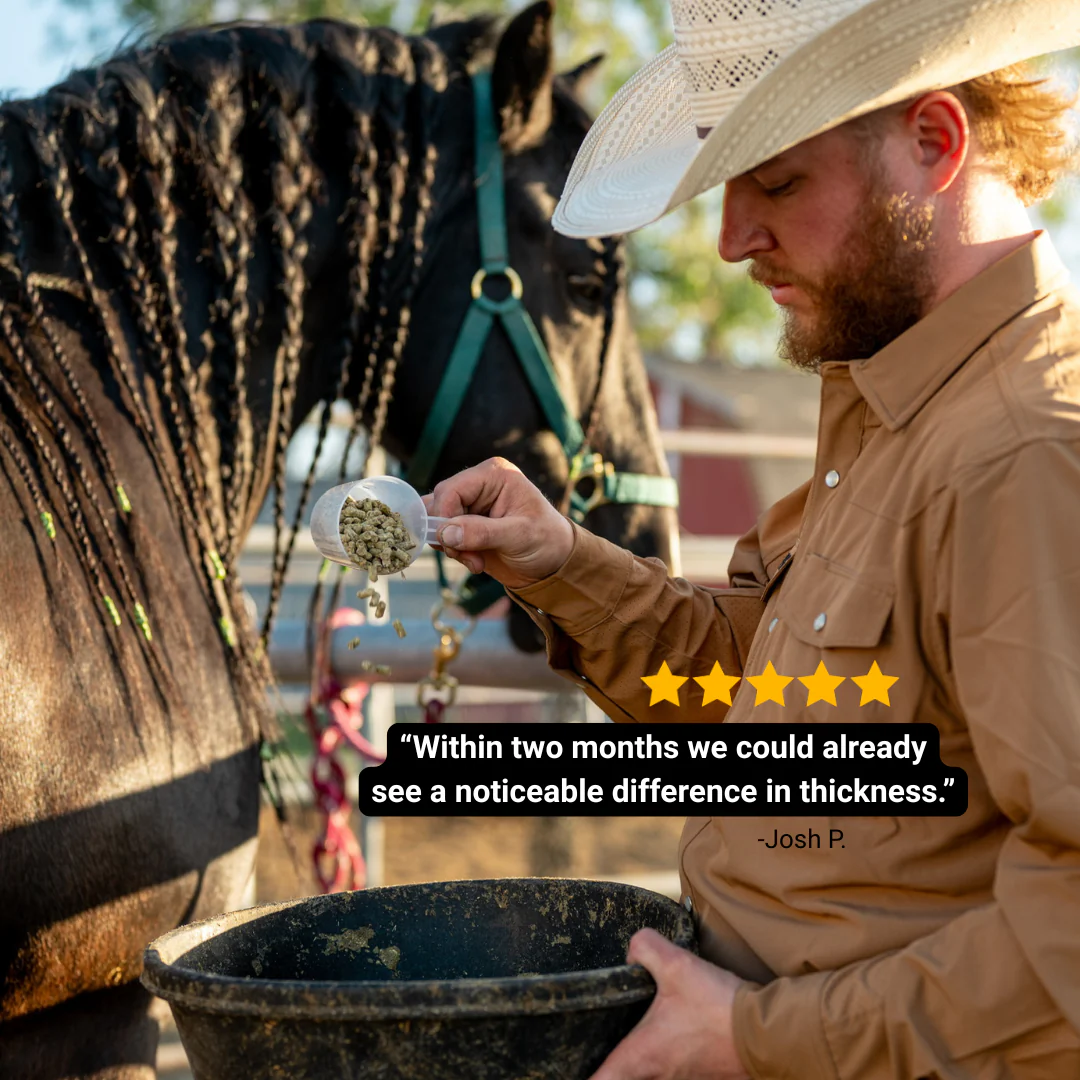 BioMane Equine Pellets - Image 4