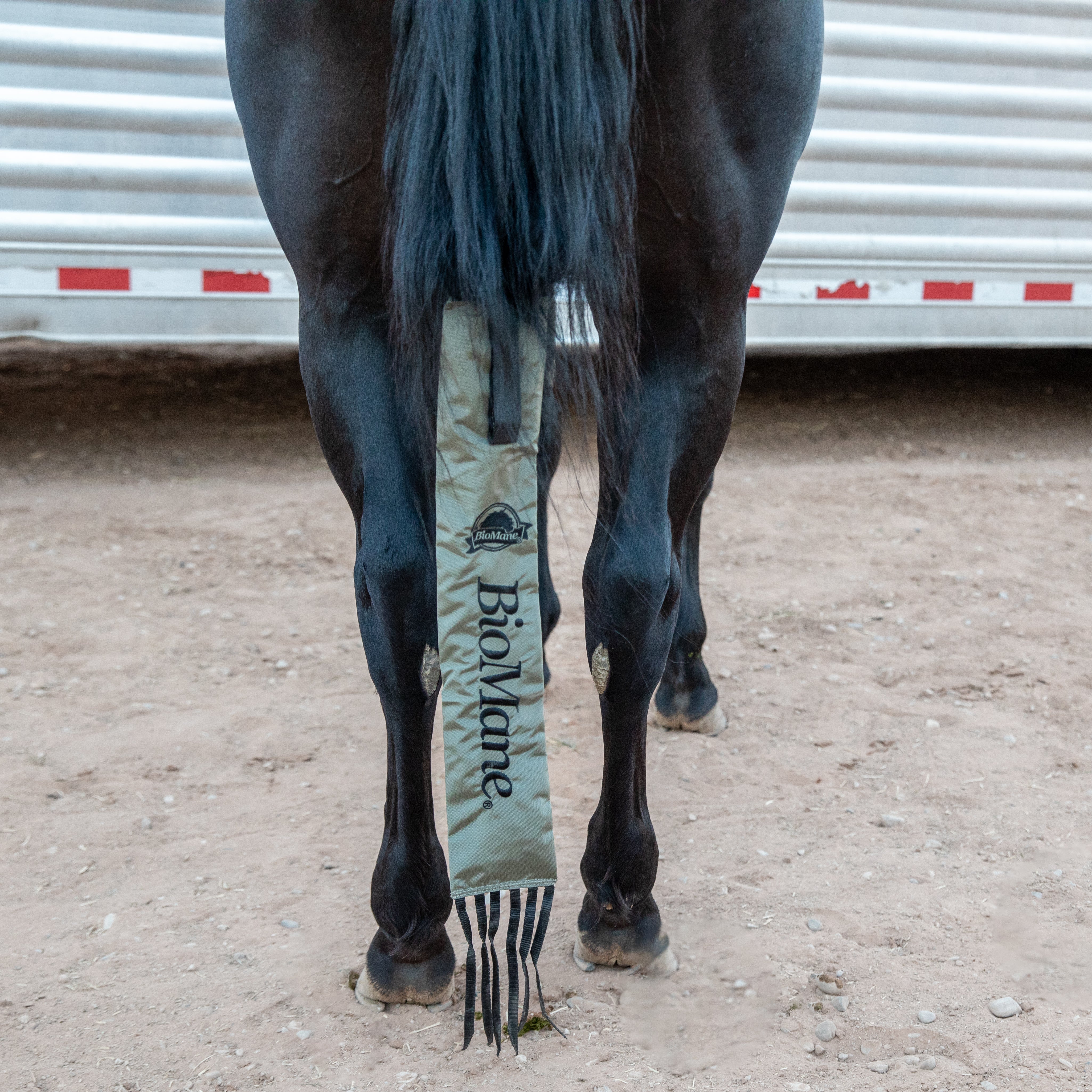 Tailbag - Image 10