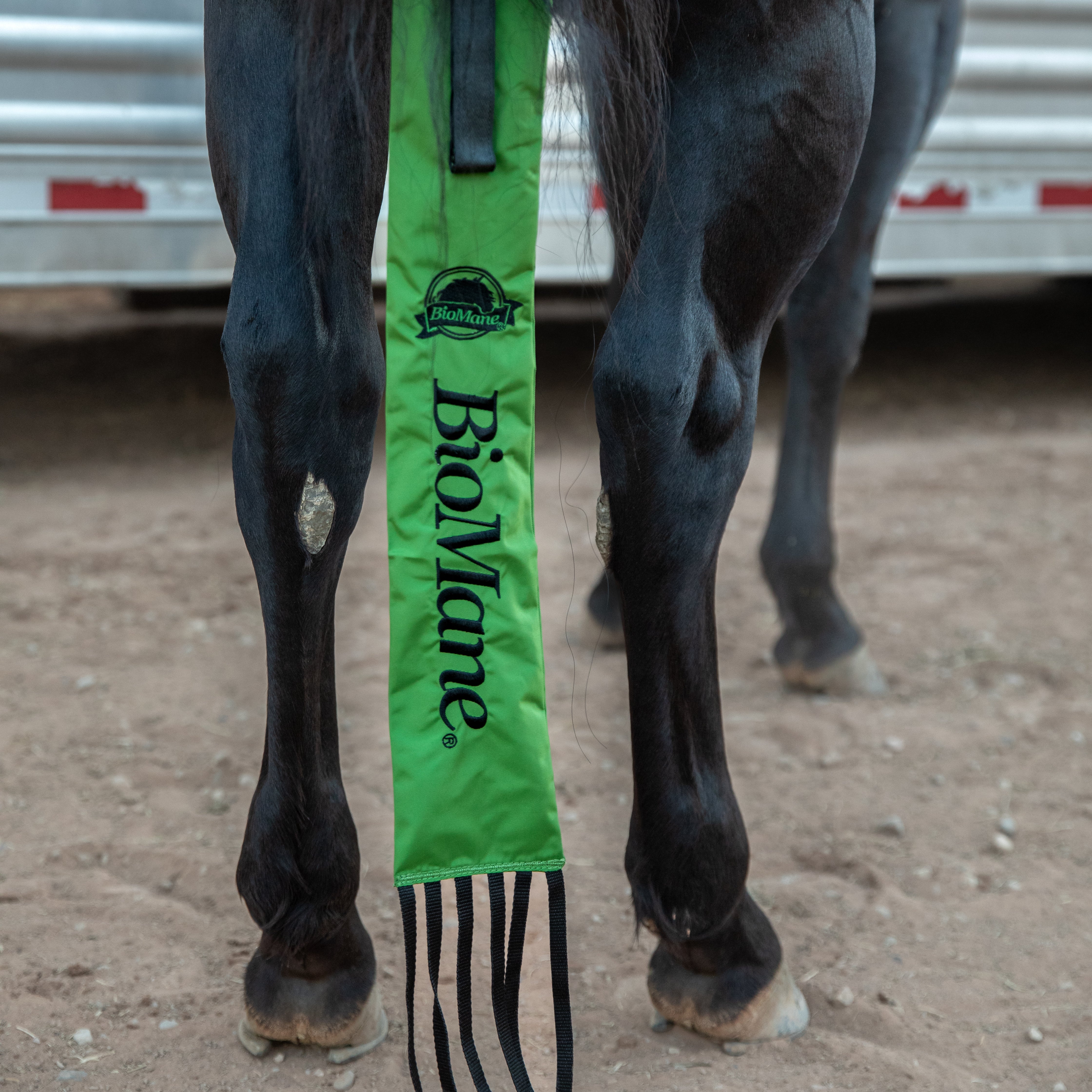 Tailbag - Image 11