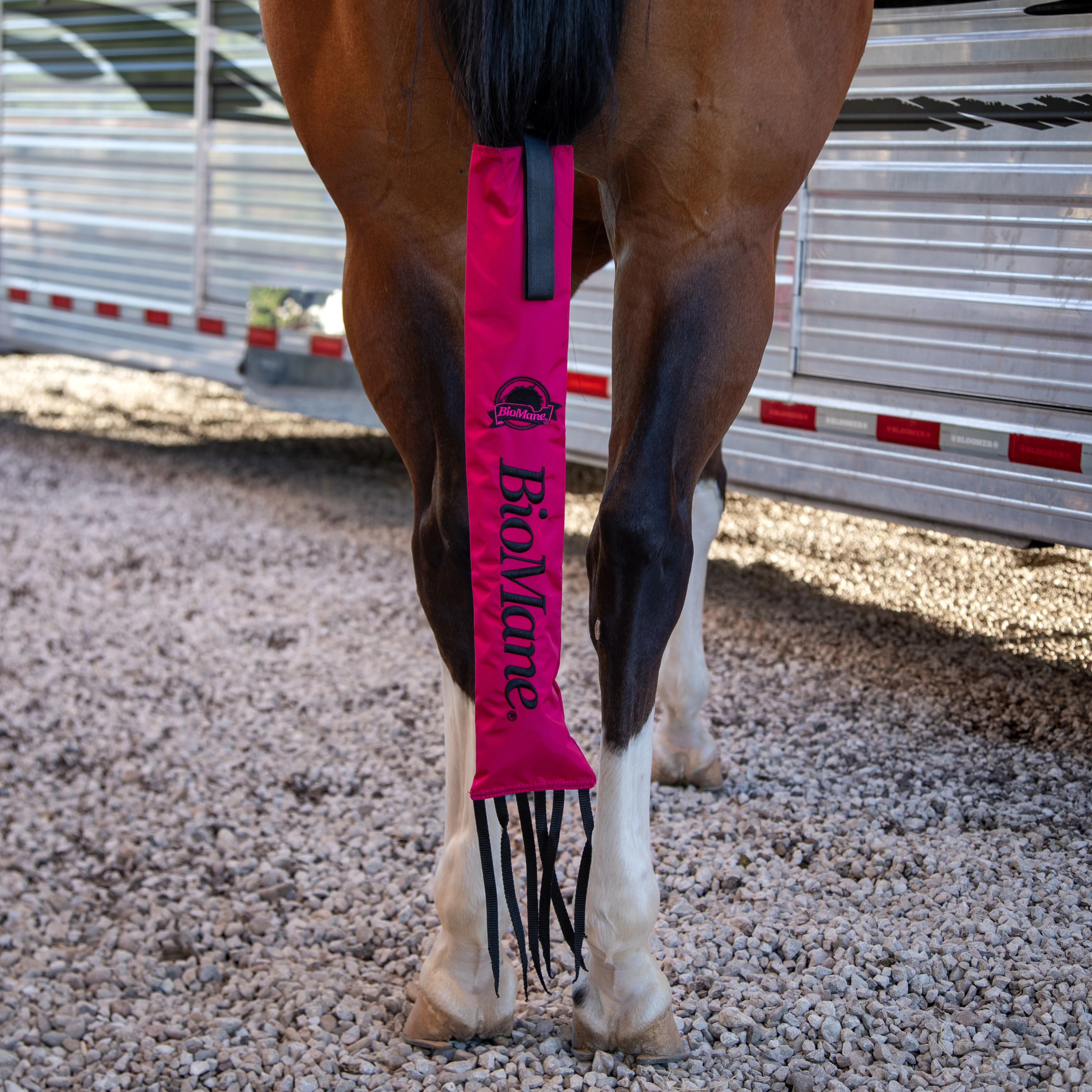 Tailbag - Image 19