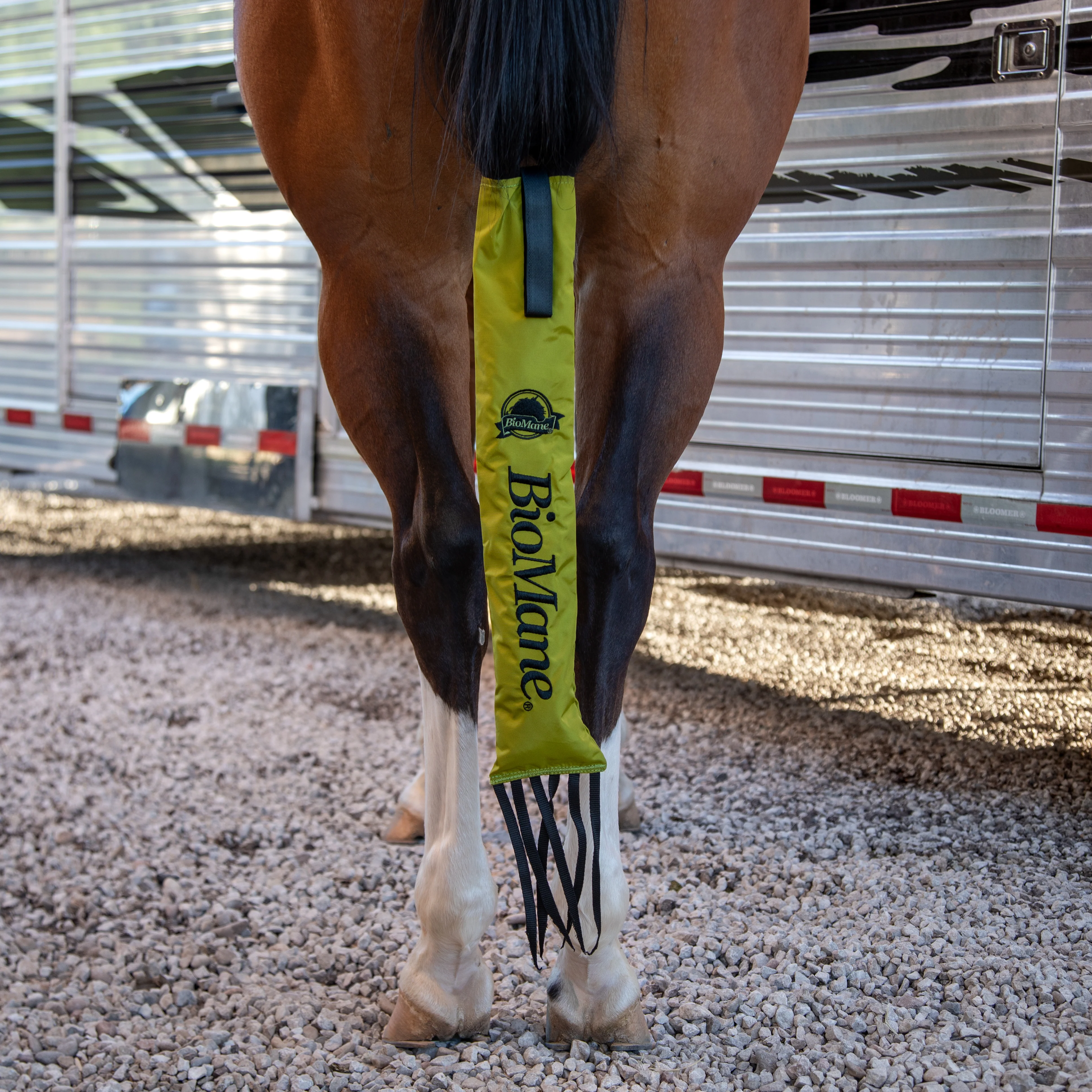 Tailbag - Image 7