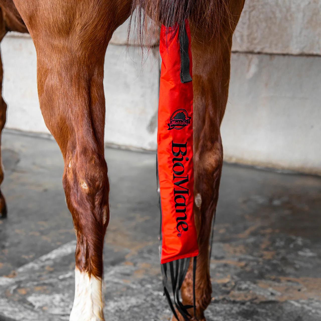 Tailbag - Image 9