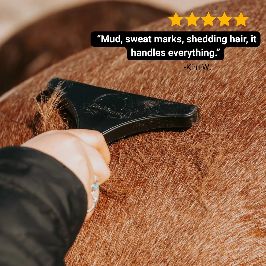 Grooming Tool - Image 4