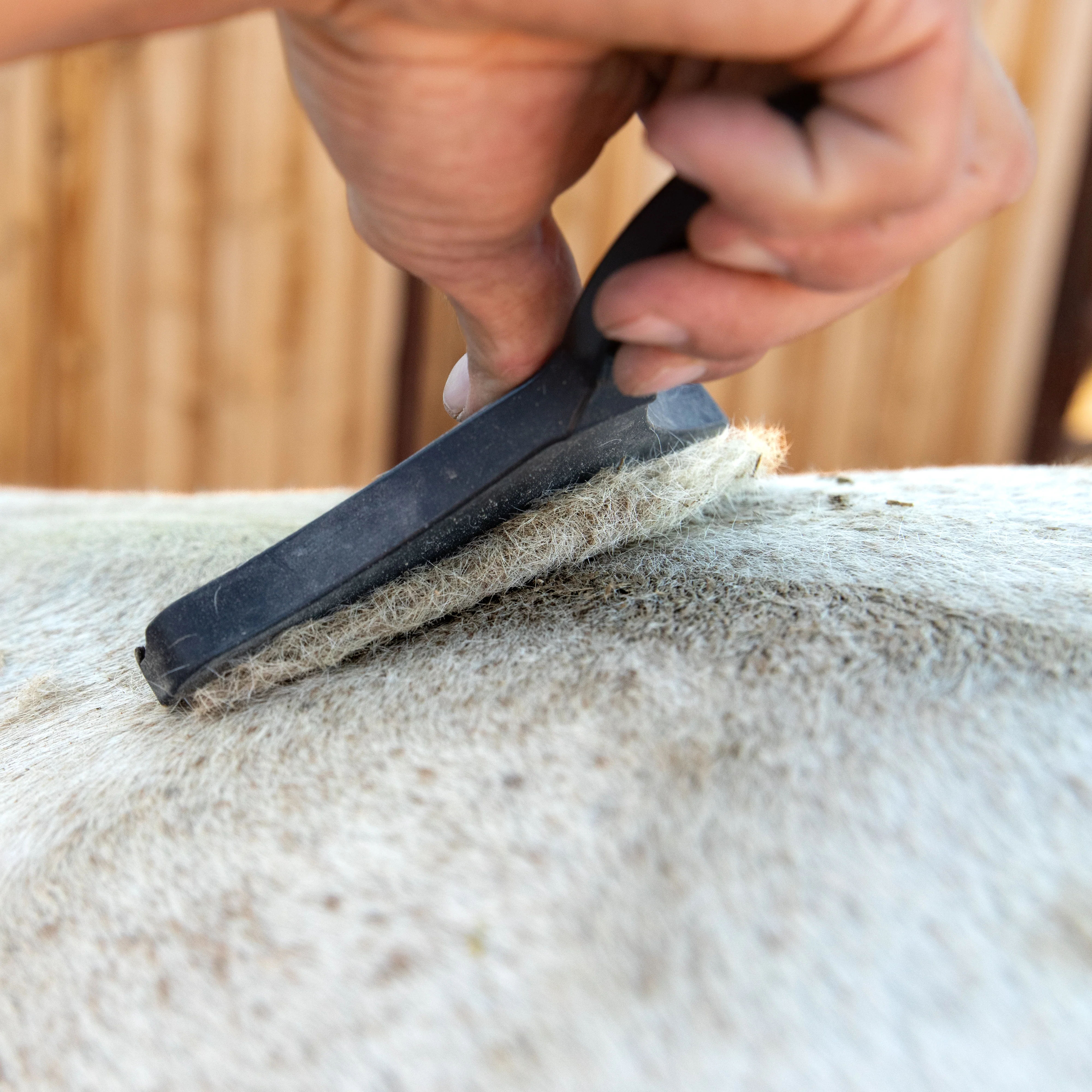 Grooming Tool - Image 7